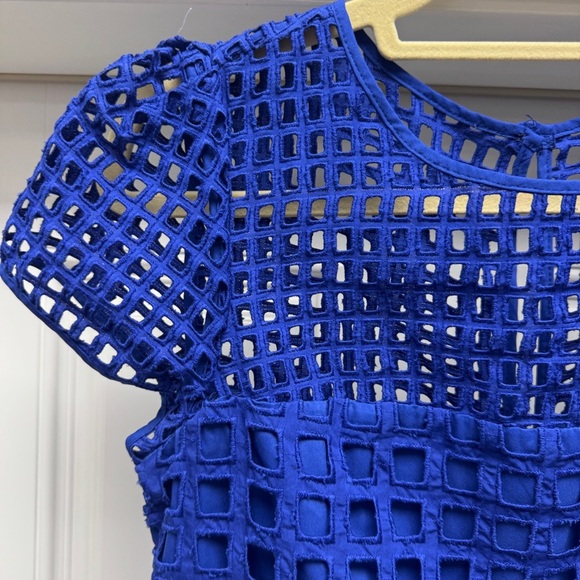 Milly Blue Chloe Illusion Net Dress - Picture 4 of 12